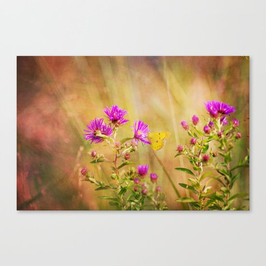 Wonder Canvas Print