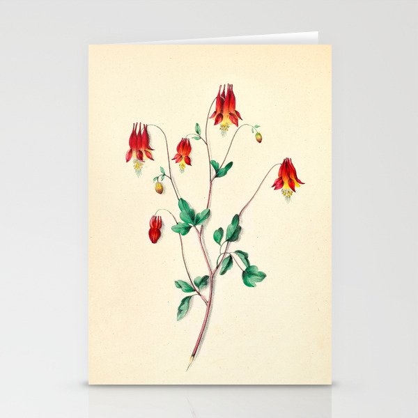  Wild Columbine by Clarissa Munger Badger, 1859 (benefitting The Nature Conservancy) Stationery Cards