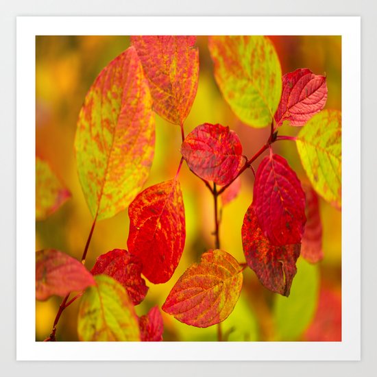 Red autumn leaves Art Print