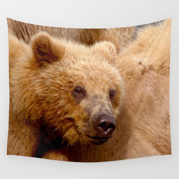 Brown Bear Grizzly Wall Tapestry