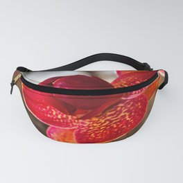 Red Orchid Flower Flowering Plant Fanny Pack