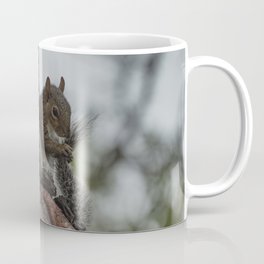Squirrel Tail Coffee Mug