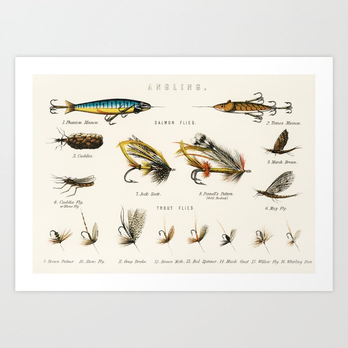 Salmon, Trout & Fresh Water Angling Fish Flies and Bait chart Art Print