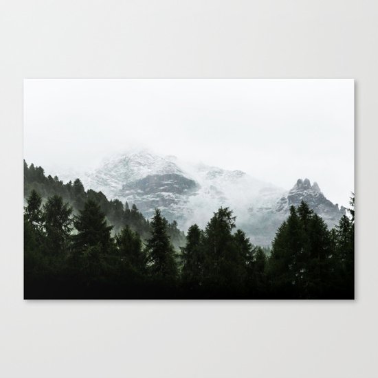The Way Through The Woods Canvas Print