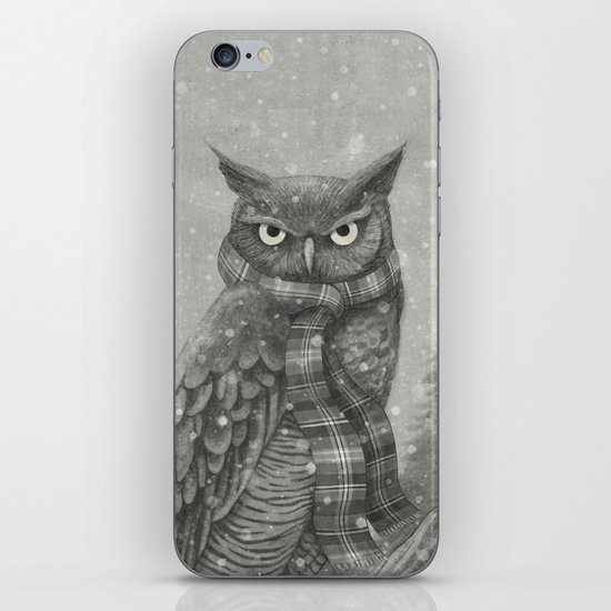 Winter Owl iPhone & iPod Skin