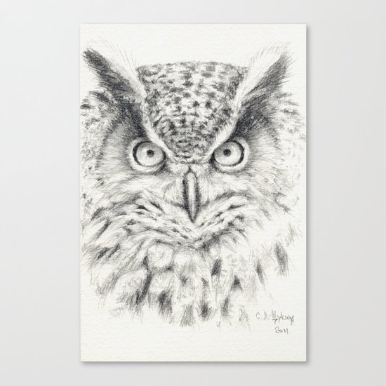 Owl G2011-012 Canvas Print