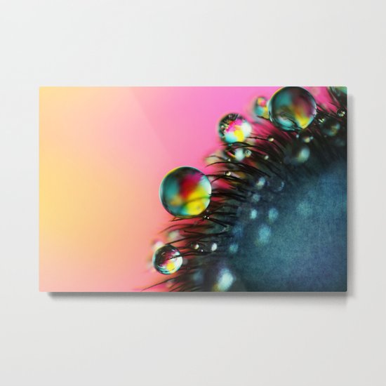 Poppy Drops II Metal Print
