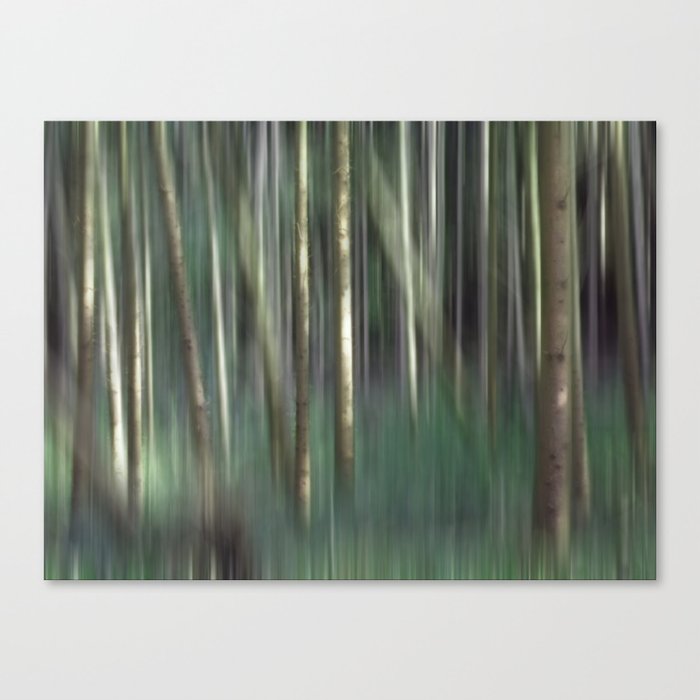 Forest 3 Canvas Print