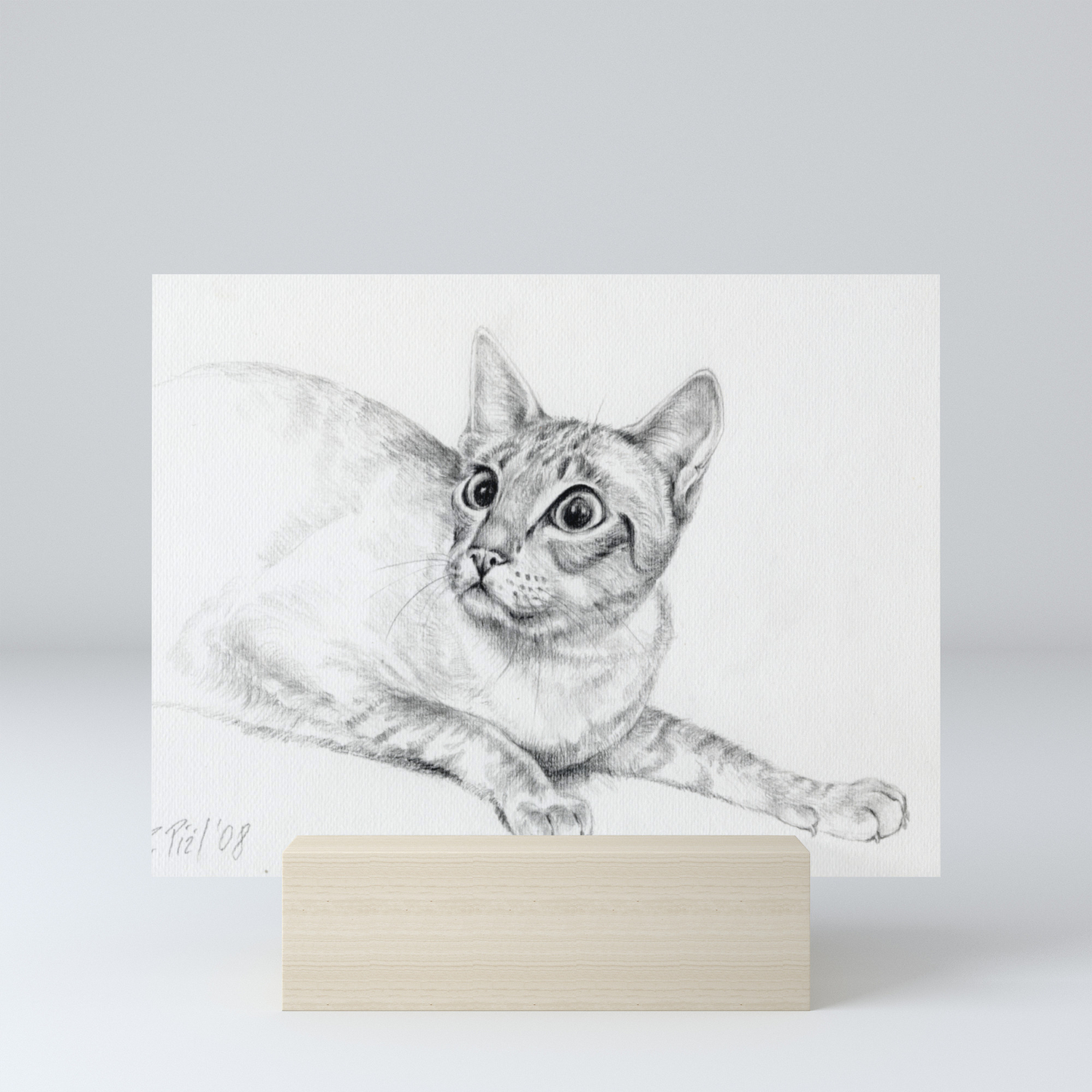 Siamese Cat Hunting Pencil Drawing Pet Illustration Decor For Cat