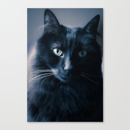 Very Serious Canvas Print