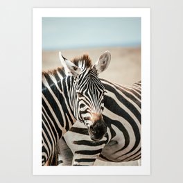 Zebra in Masaai Mara, Kenya, Africa Art Print
