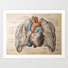 Vintage anatomy illustration Art Print