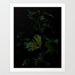 Tropical Nights #society6 #decor #buyart Art Print