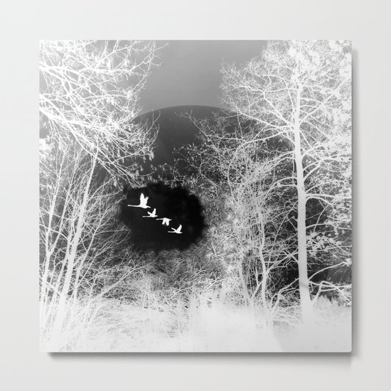 Tree and sky Metal Print