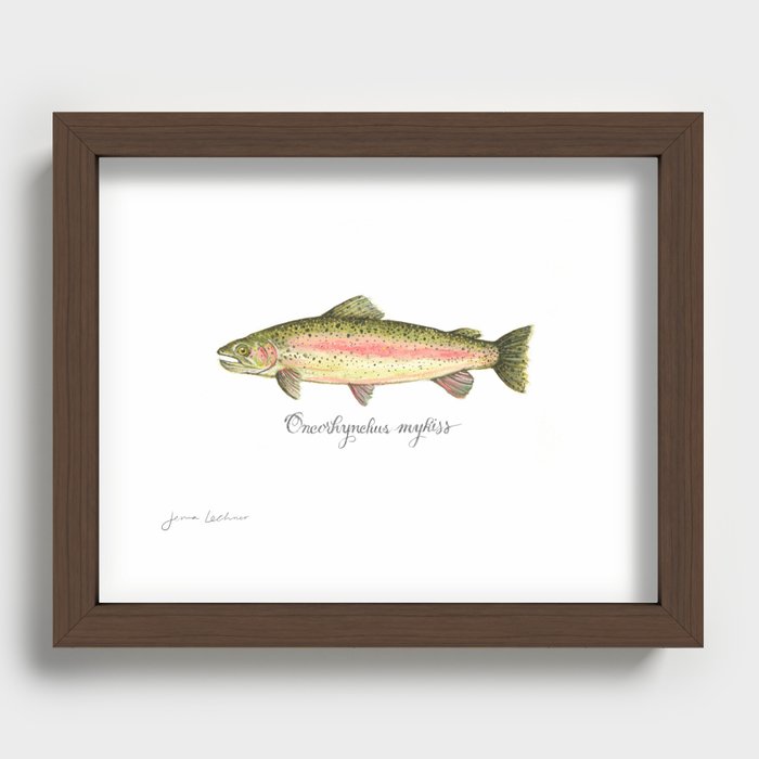 The Rainbow Trout  Recessed Framed Print