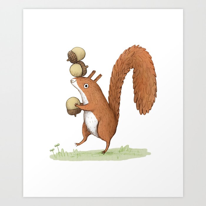 Squirrel With Acorns Art Print