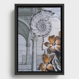 Ammonite Collage Framed Canvas