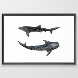 Whale sharks Framed Art Print