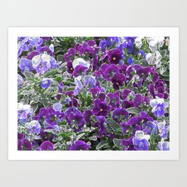 Field Of Purple Flowers 8420 Art Print