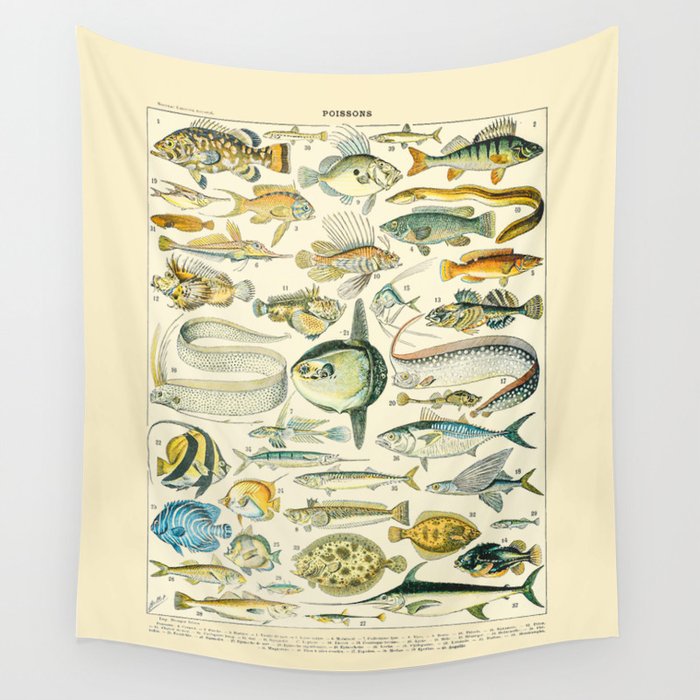 Fishing Art, Sea Life Wall Art, Beach Painting, Sea Decor, Sea Creature  Wall Art - Vintage Fish Comforter by Public Artography