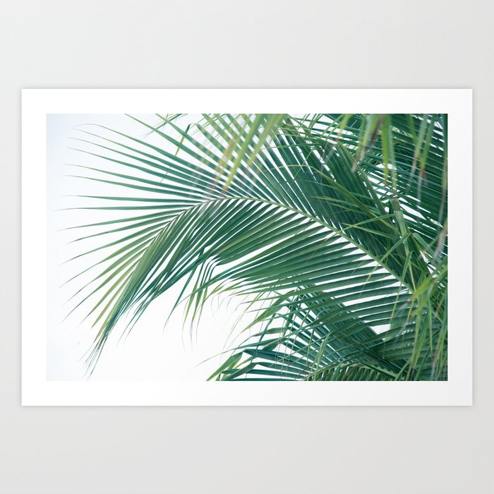 Lush Caribbean Palms #3 #tropical #wall #art #society6 Art Print