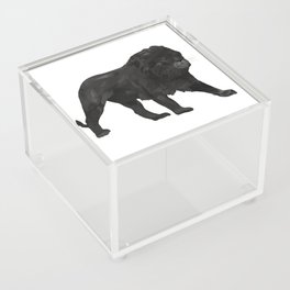 digital painting of a black lion Acrylic Box