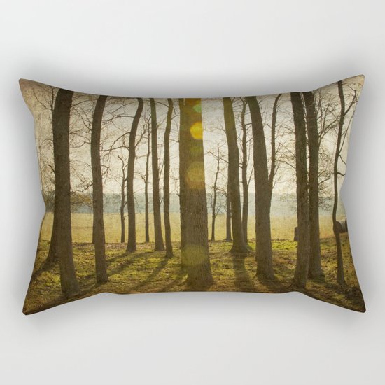 Afternoon Sunlight with Lens Flare Rectangular Pillow