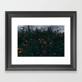 orange florals Framed Art Print