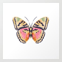 Butterfly Study no. 14 - butterfly art, watercolor butterfly, watercolor butterflies, painted butterfly, butterfly art, pink and yellow butterfly Art Print