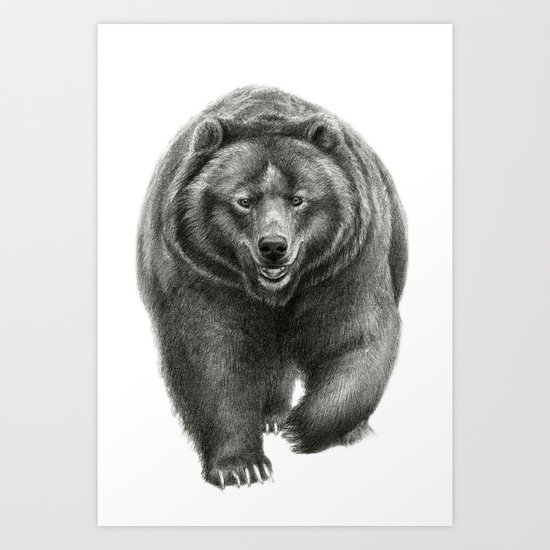 Brown Bear SK068 Art Print