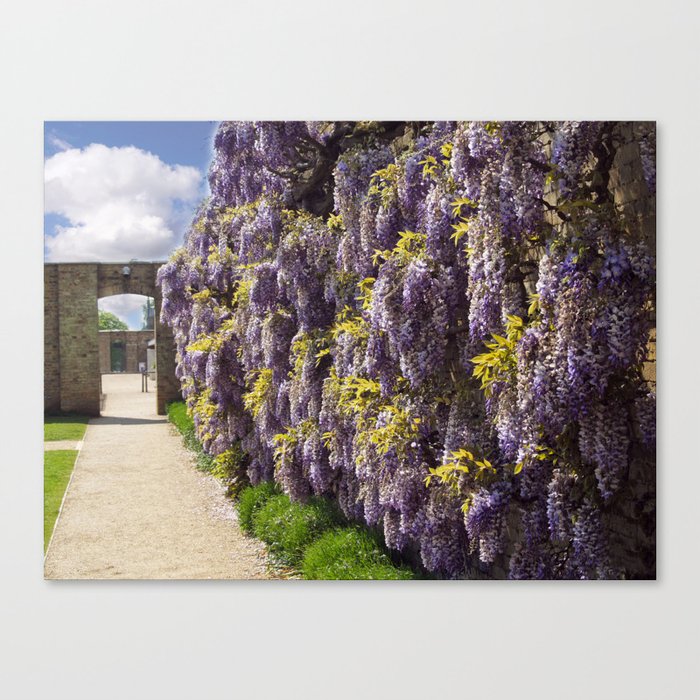 The Flower Wall Canvas Print