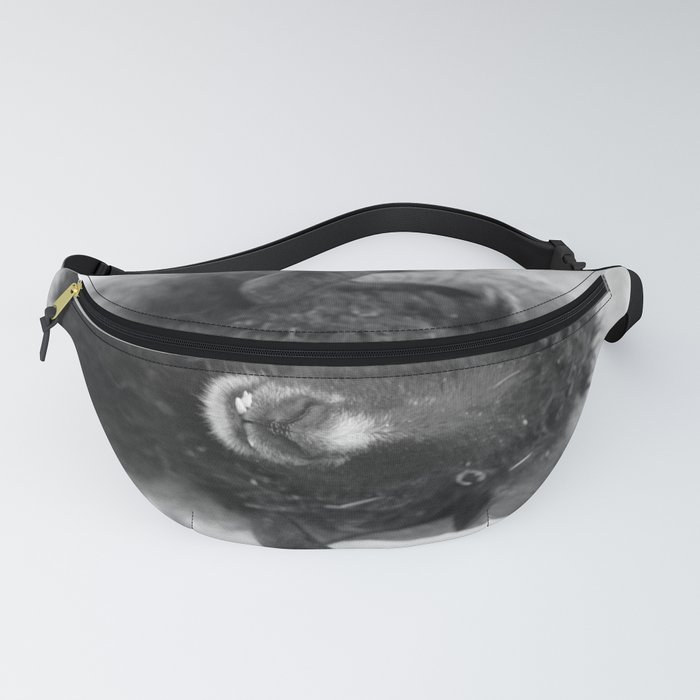 The black sheep, black and white photography Fanny Pack