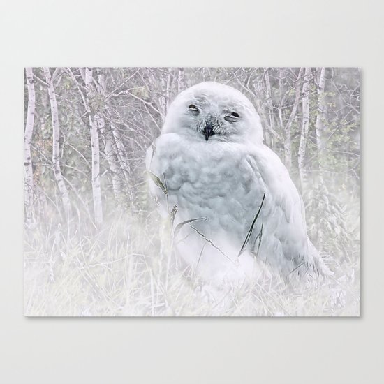 Snowy Owl Canvas Print