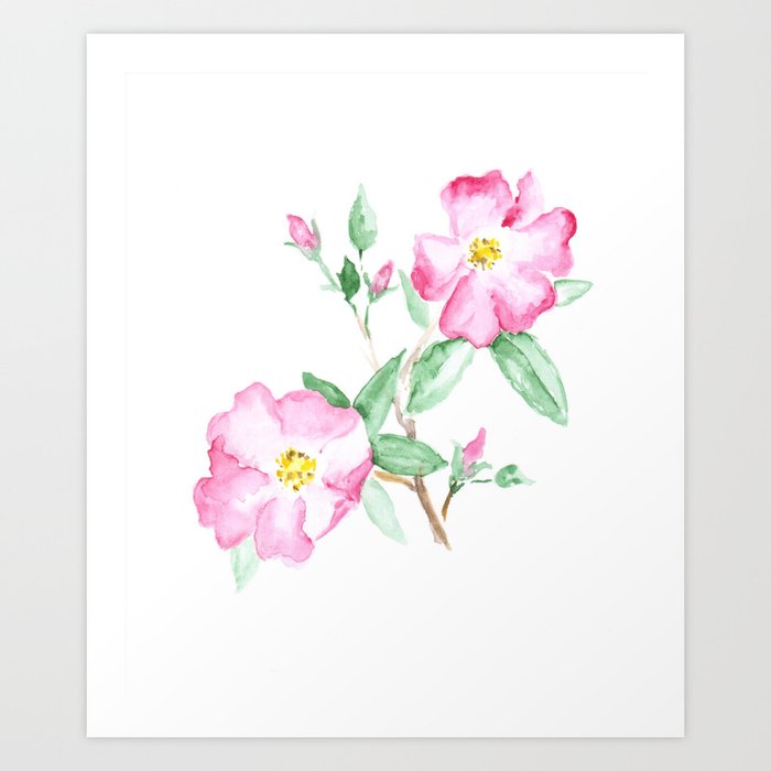 Wild Rose Watercolor Art Pink Flower Painting Nature Art