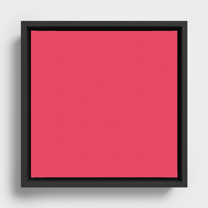 Red-Purple Milkweed Framed Canvas