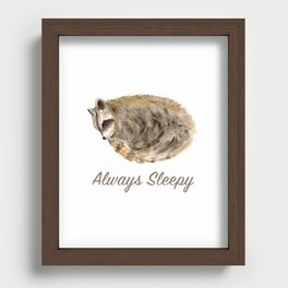 Always Sleepy Raccoon Recessed Framed Print