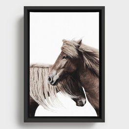 Horses Print Framed Canvas