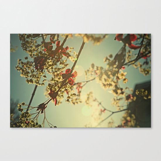 Welcome Spring | 02 Canvas Print