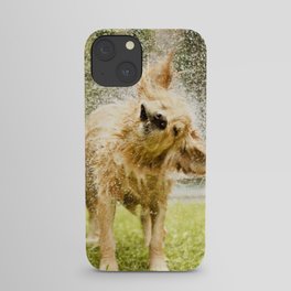 Dog shaking off water iPhone Case