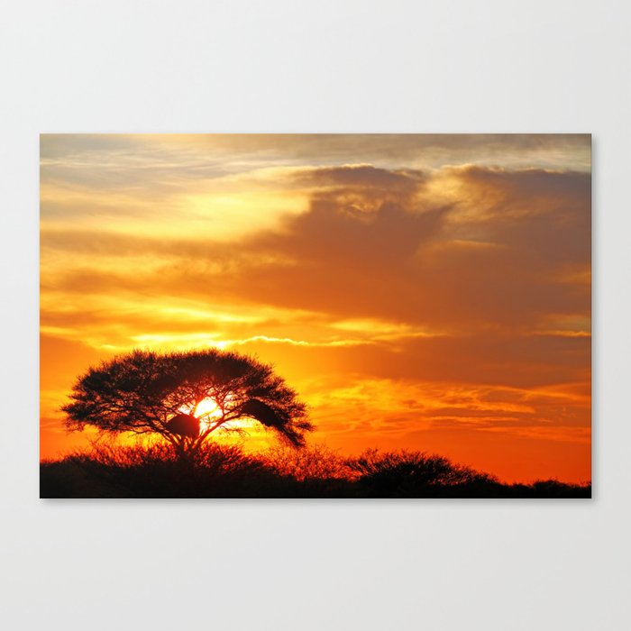 African sunrise Canvas Print