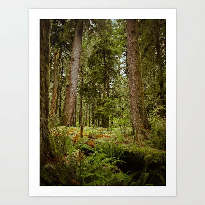 In the trees Art Print