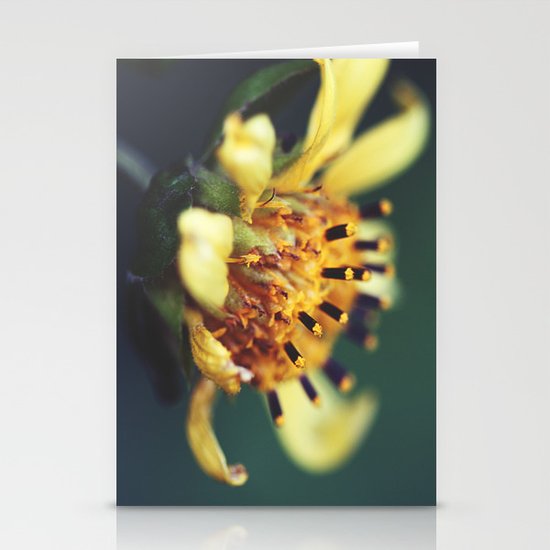 Sunburst Stationery Cards
