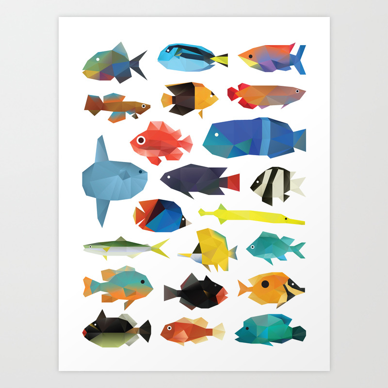 Worldwide tropical fish discount