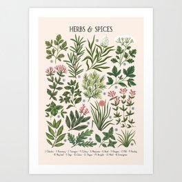 Herbs & Spices - beige Art Print