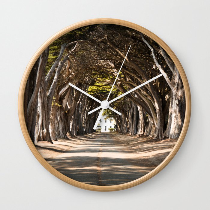 California Cypress Tree Tunnel Wall Clock