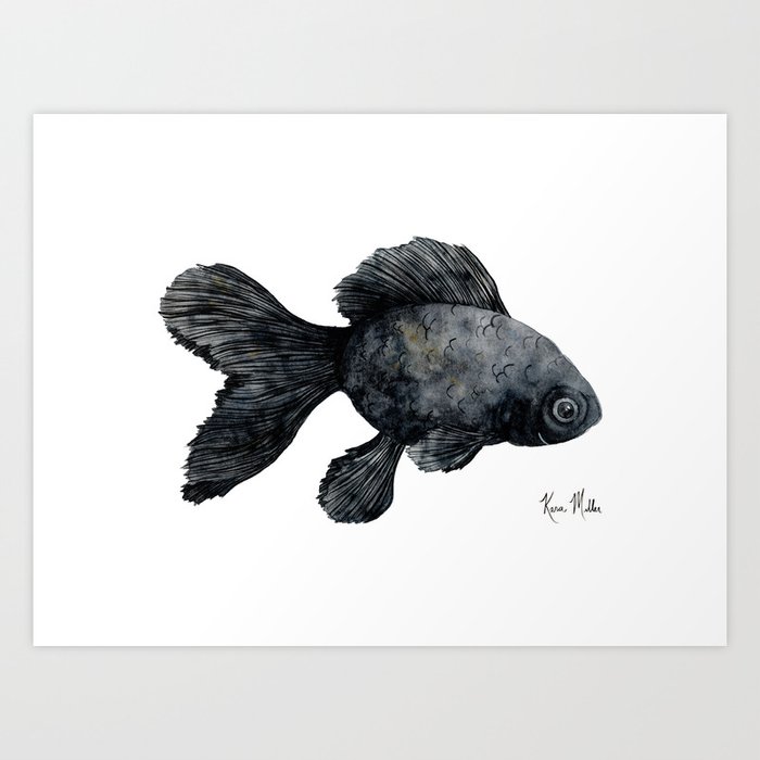 black goldfish drawing