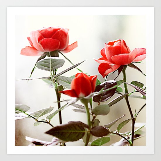 Romantic roses(8). Art Print
