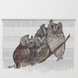 Baby Eastern Screech-owls Wall Hanging