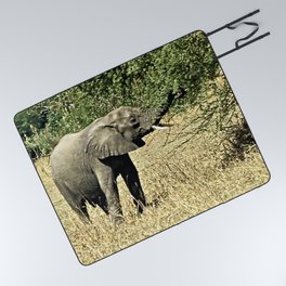 Little African Elephant Acacia Tree Safari Africa Picnic Blanket