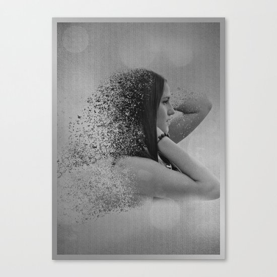 D//SAPPEAR Canvas Print